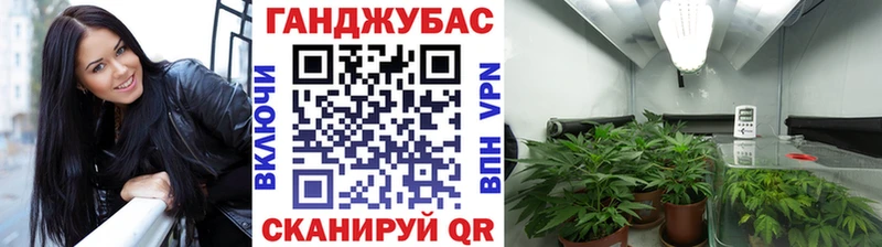 это какой сайт  blacksprut зеркало  Марихуана Amnesia  Можга  как найти  